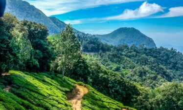 Munnar Kolukkumalai Backpacking Trip
