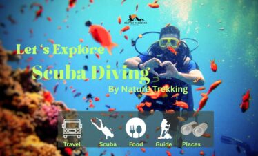 Scuba Diving In Netrani Island